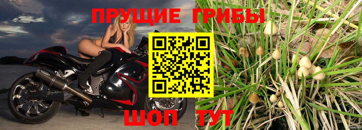 Псилоцибиновые грибы GOLDEN TEACHER Каменск-Уральский